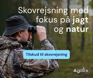 Agillix