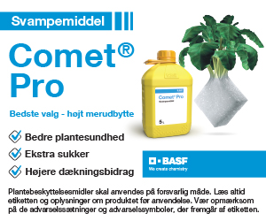 BASF